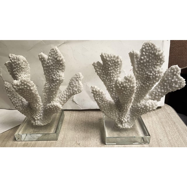 Pair Faux Coral White Thick Finger Mounted on Glass Decorative Objects For Sale - Image 6 of 12