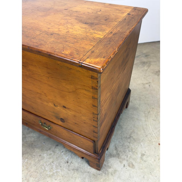 Brown Late 18th Century American Queen Anne Style Pine Blanket Chest Pennsylvania For Sale - Image 8 of 12