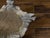 English Midcentury Lead Bird Bath Depicting a Shell with Squirrel and Bird For Sale - Image 10 of 10
