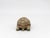 Sculpture Materials Vintage Reconstituted Stone Tortoise or Turtle Garden Ornament, England 1970s For Sale - Image 7 of 8