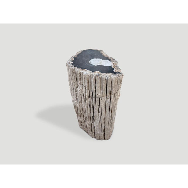 Andrianna Shamaris Abstract High Quality Petrified Wood Side Table For Sale - Image 11 of 18