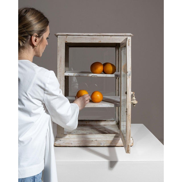 French 19th Century France White Wood Display Cabinet For Sale - Image 3 of 10