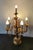 Vintage Gilded Florentine Floor Lamp, 1920s For Sale - Image 10 of 18