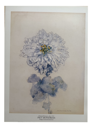 Piet Modrian, Chrysant, 1990s, Print