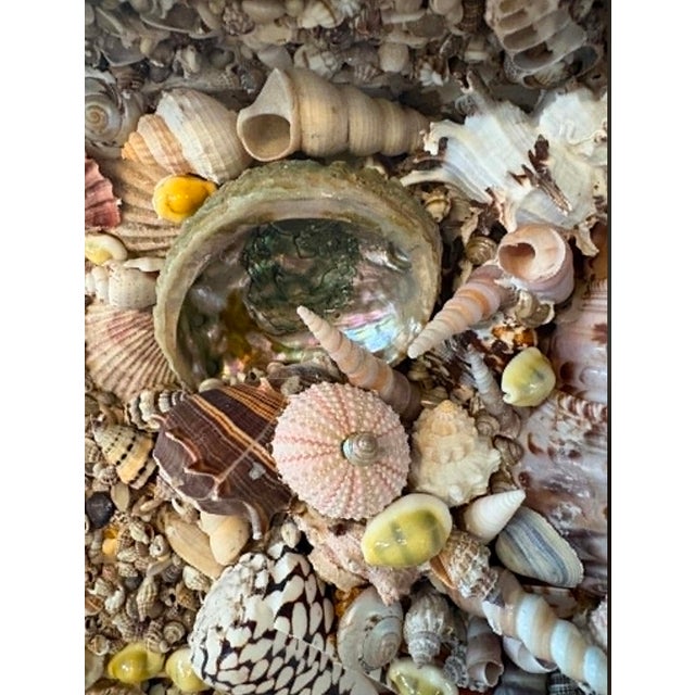 Seashell Encrusted Fireplace Surround and Mantel For Sale - Image 16 of 18