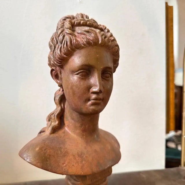 1900 - 1909 1900s Neoclassical Red Brick Patina Metal Italian Bust of a Woman For Sale - Image 5 of 10