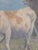 Robert Atkinson Fox (1860-1935), Cow in a Stream, Gouache on Canvas Painting For Sale - Image 9 of 18