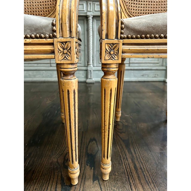 French Pair Fratelli Boffi Italy ~ Louis XVI Cane Back Arm Chairs For Sale - Image 3 of 11