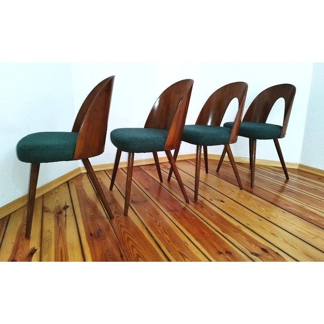 Dining Chairs by A. Suman for Tatra Nabytok, Former Czechoslovakia, 1960s, Set of 4 For Sale - Image 18 of 18