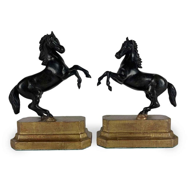 Grand Tour Horse Sculptures, Early 1800s, Bronze on Limewood Bases For Sale - Image 10 of 10