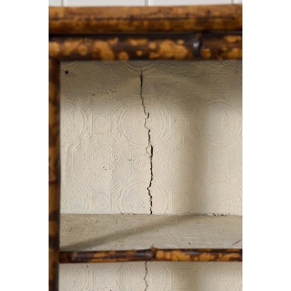 19th Century Tortoise Bamboo 2-Door Glass Front Cabinet For Sale - Image 10 of 10