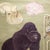 Vintage Gorilla Classroom Anatomy Scroll c.1959 For Sale In San Francisco - Image 6 of 7