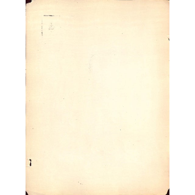 Traditional Late 20th Century N.K. Fairbank by Carlo De Fornaro Reproduction For Sale - Image 3 of 3