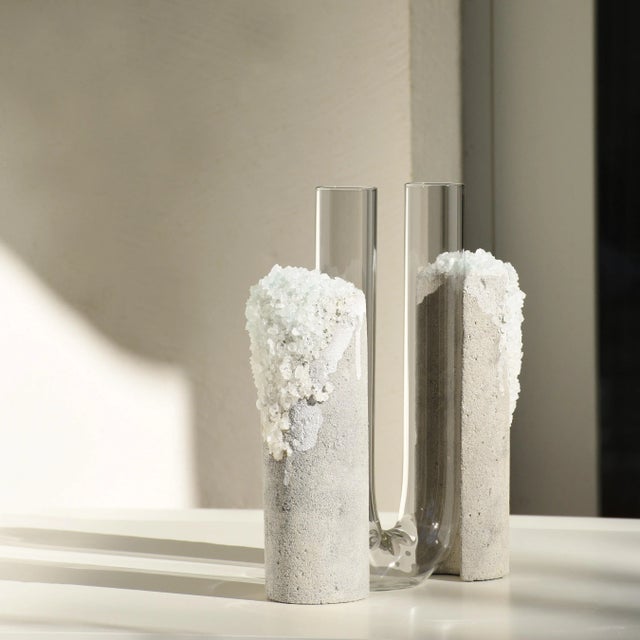 Contemporary Winter 1 Cochlea Dello Sviluppo Seasons Edition Vase by Coki Barbieri For Sale - Image 3 of 6