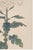 Not Yet Made - Made To Order White Mum by Hasegawa, Vintage Japanese Botanical Art Print, 12" X 18" For Sale - Image 5 of 8
