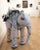"elephant and friends”, by ceramic dynamo katharine morling is a porcelain free standing sculpture, depicting and engaging...