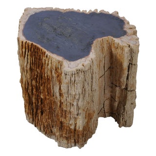Petrified Wood Side Table Trunk by Xyleia Petrified Wood For Sale