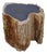 Petrified Wood Side Table Trunk by Xyleia Petrified Wood For Sale