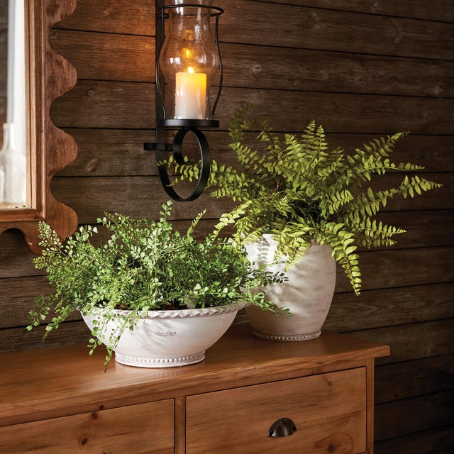 Realism Boston Fern Drop-In 12" For Sale - Image 3 of 4