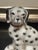 Late 20th Century Vintage Traditional Dog Figurine For Sale - Image 5 of 11