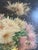 E. Coppenolle, Floral Still Life, 1800s, Oil on Canvas, Framed For Sale - Image 9 of 13