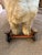 Textile Large Dog Riding Toy, Tri-Ang Toys by Lines Bros. Circa 1940's For Sale - Image 7 of 9