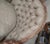 Antique Hand Carved Victorian Sofa and Chair For Sale - Image 16 of 17