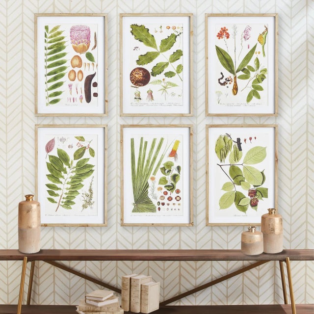 Contemporary Kenneth Ludwig Chicago Leaf Botanical Study Prints, Framed - Set Of 6 For Sale - Image 3 of 4