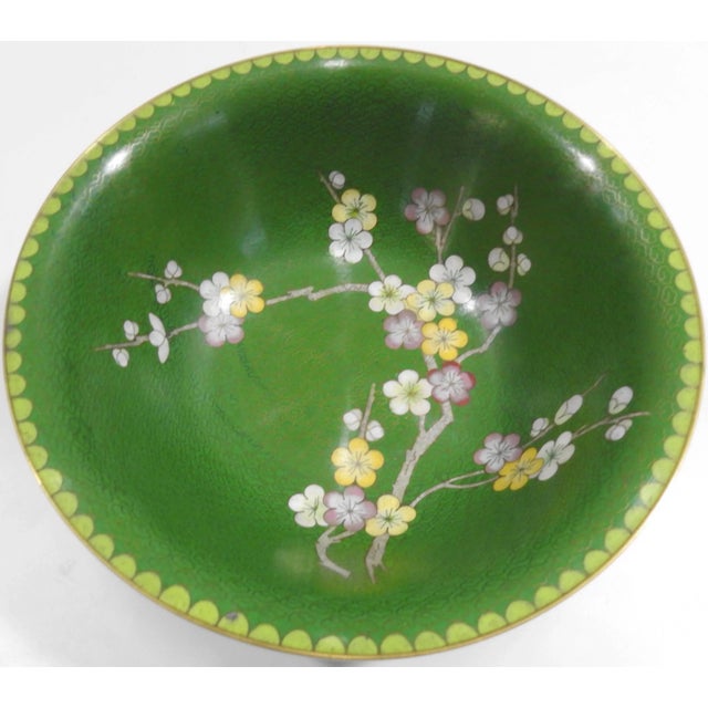 Vibrant green stands out in this lovely cloisonne bowl. The edging has the brass peeking out with a soft green scalloped...