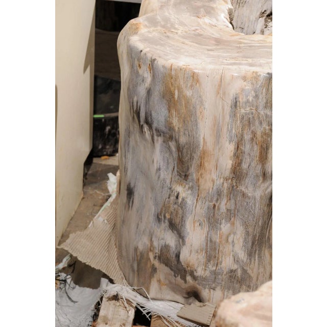Large Petrified Wood Table Base For Sale In Atlanta - Image 6 of 12