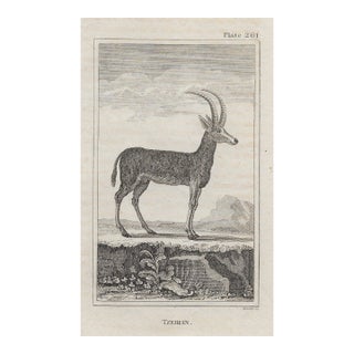 Antique Tzeiran Engraving For Sale