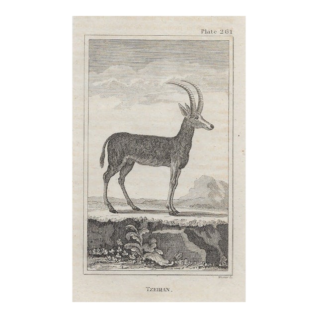 Antique Tzeiran Engraving For Sale