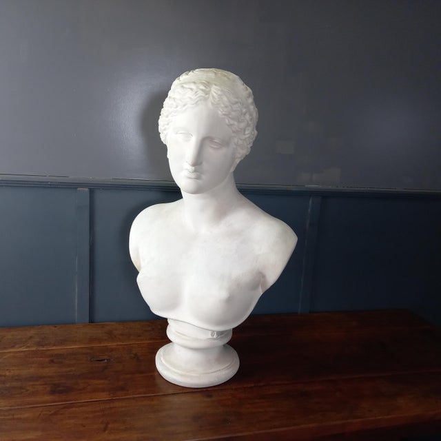 Large Nude Bust of Venus, 1950s For Sale - Image 6 of 15