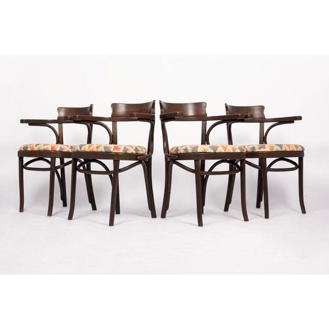 Art Nouveau Mid Century Vintage Bentwood Cafe Dining Chairs in the Manner of J&j Kohn For Sale - Image 3 of 10