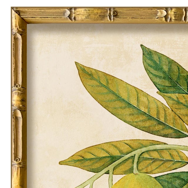 Various Artists Reproduction Giclee Print of Vintage Fruit & Flowers (5) Art Print, Framed For Sale - Image 4 of 6