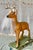 Rustic Life-Size Cast Concrete Deer Sculpture, Rustic Garden Accent For Sale - Image 3 of 8