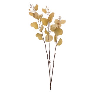 Seeded Eucalyptus Stem (Set of 2) For Sale