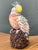 Vintage Shell Encrusted Cockatoo For Sale - Image 12 of 12