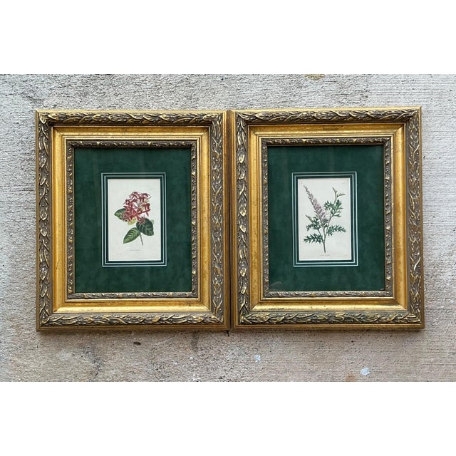 Late 19th Century Vintage Framed Botanical Floral Prints - A Pair For Sale - Image 5 of 12