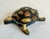 Gold Vintage Mid-Century Mixed-Metal Turtle Hinged Ashtray For Sale - Image 8 of 9