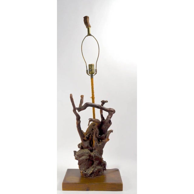 Brown Sculptural Driftwood Lamps - a Pair For Sale - Image 8 of 11