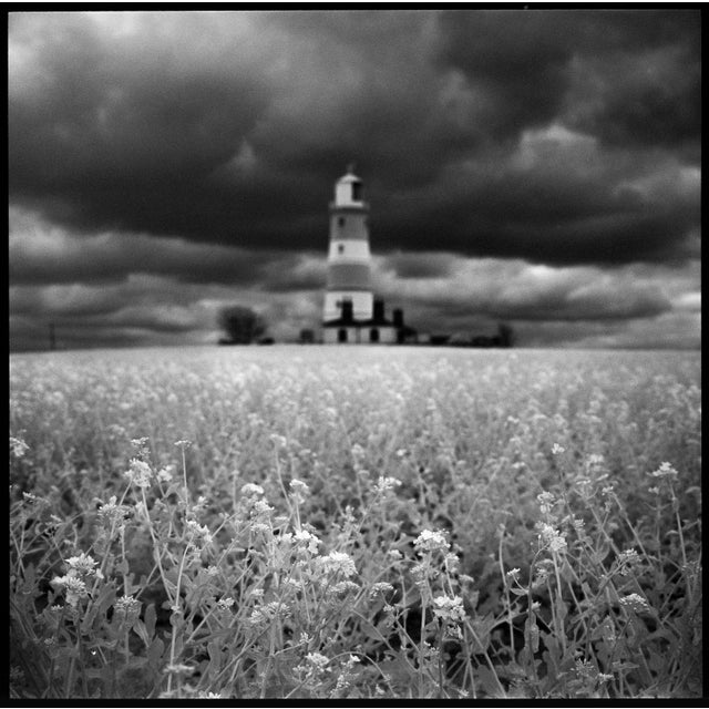 Fine art Giclee prints on Hahnemuhle Photo Rag 308gsm - a 100% cotton, acid-free, mould-made paper. Printed to Fine Art...