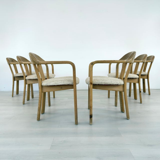Rainer Daumiller Dining Chairs - Set of 6 For Sale In New York - Image 6 of 14