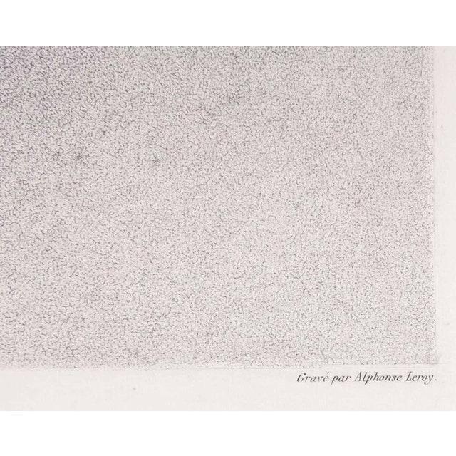 After Annibal Carrache, Portrait from the Louvre, Lithograph For Sale - Image 7 of 9