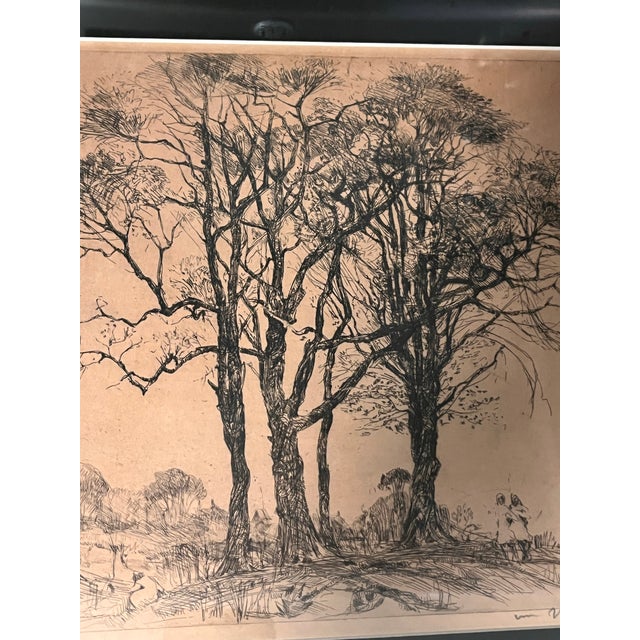 1920s William Meyerowitz Signed Etching & Drypoint “The Willows,” Circa 1920 For Sale - Image 5 of 10