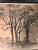 1920s William Meyerowitz Signed Etching & Drypoint “The Willows,” Circa 1920 For Sale - Image 5 of 10