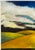 This wonderful and brightly colored large acrylic on canvas landscape is by California artist Judy Gittelsohn. Signed on...
