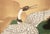 Large 1950s Japanese or Chinoiserie Style Painted Silk Screen For Sale - Image 9 of 17