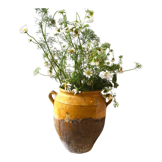 Antique French Ochre-Glazed Earthenware Confit Jar - Medium 1 For Sale