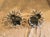 Mid 19th Century Mid 19th Century French Empire Metal Marble and Gilt Ormolu Eagle Crystal Luster Candle Holders - a Pair For Sale - Image 5 of 12